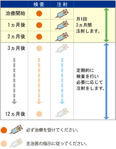 治療スケジュール